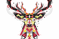 Deer-geometric